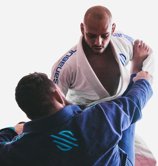 Brazilian Jiu Jitsu Technique Encyclopedia