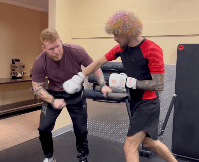 Coaching Equipment for Striking