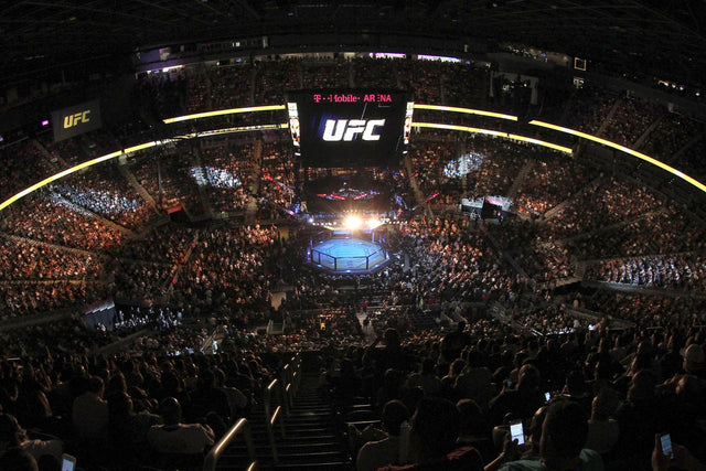 Top 5 PPV Events in UFC History | Sanabul