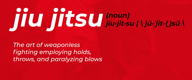 Here's What All The Common Portuguese and Japanese Words in BJJ Mean