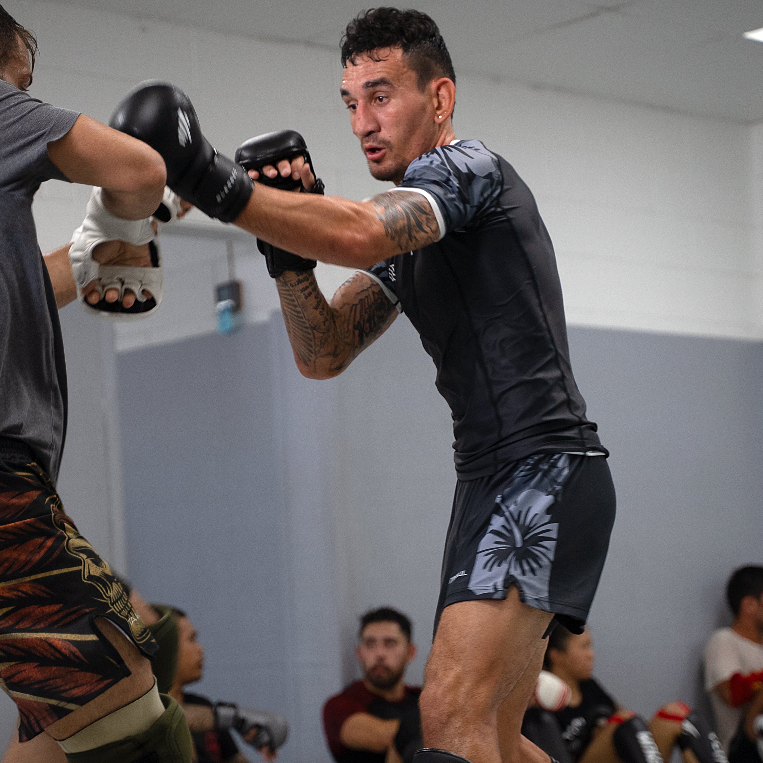 Max Holloway MMA Gloves | Sanabul