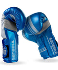 Blue/Silver