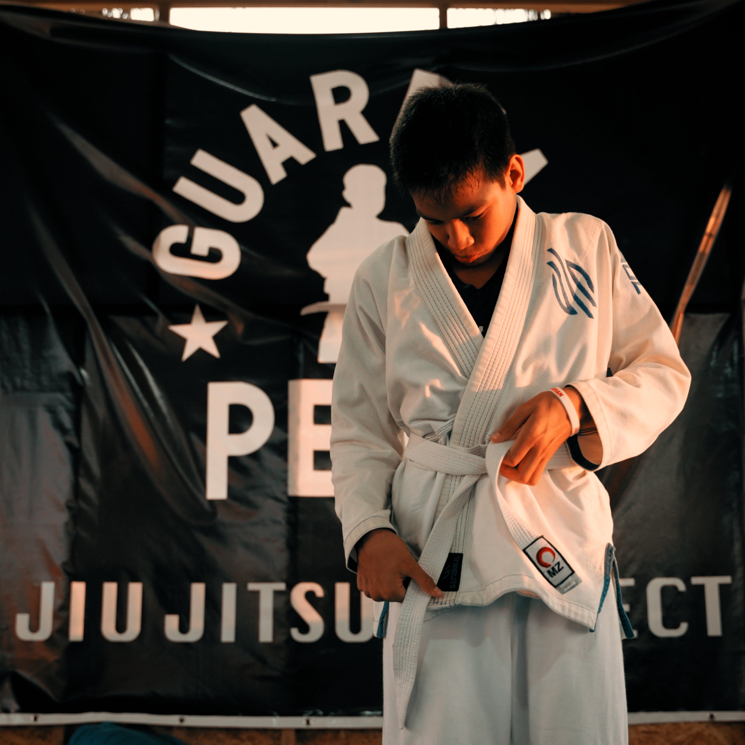 Sanabul Guardian Gym Training Kit