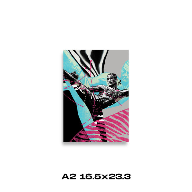 16.5″×23.3″