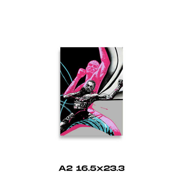16.5″×23.3″
