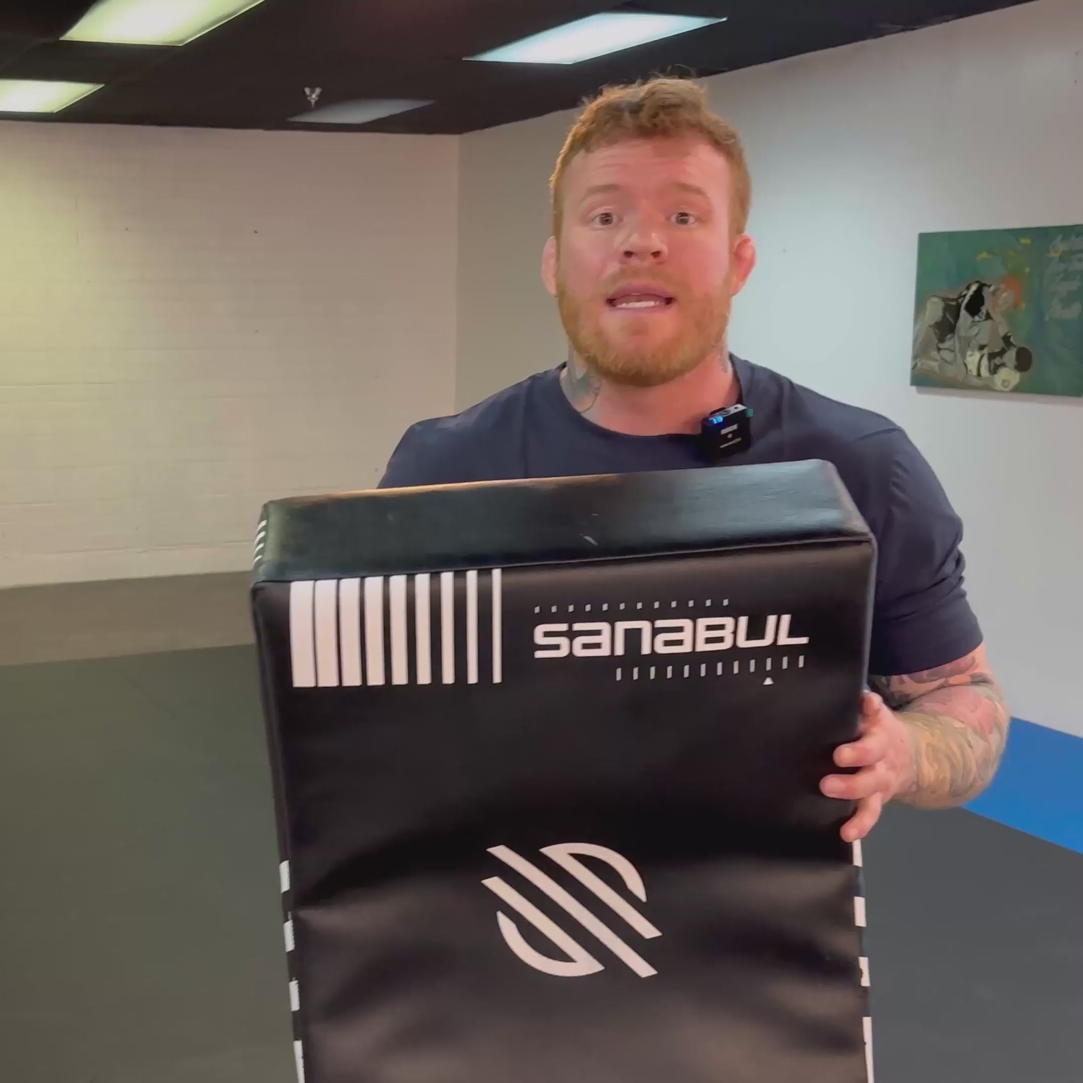 Lab Series MMA Muay Thai & Kickboxing Striking Shield | Sanabul